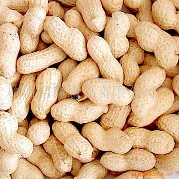 peanut in shell ordi.jpg