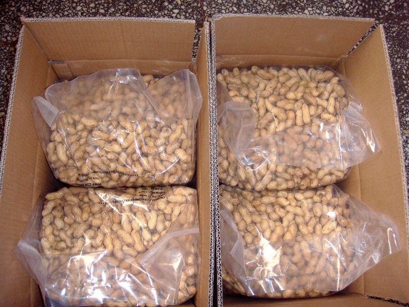vacuum packed roasted peanut9-11