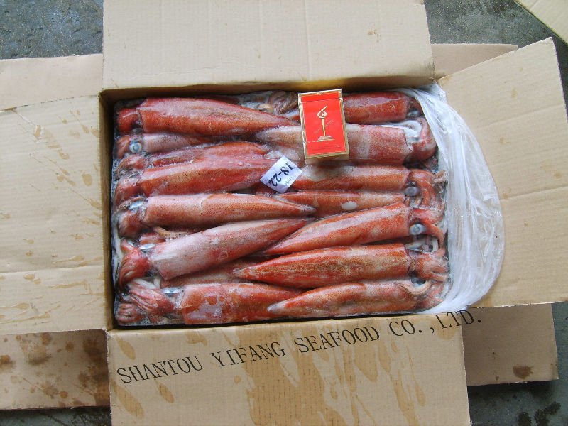 Frozen Squid China According To Customer S Requirement Price Supplier 21food