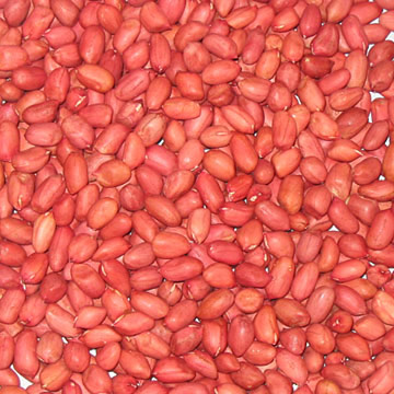 Chinese_Redskin_Peanut_Kernels.jpg