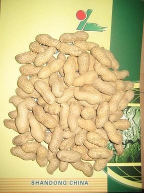 Roasted_Peanut_In_Shell