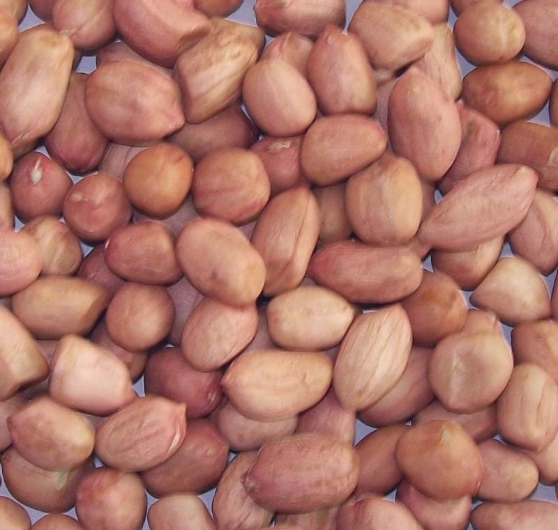Peanut Kernel3540a