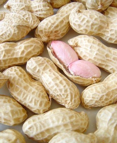 Peanut in shell-31.jpg