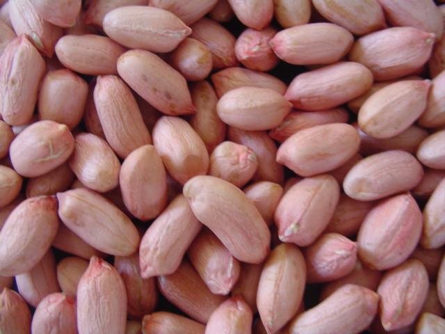 GetAttachment1