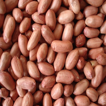 roasted peanuts with red skin-2.jpg