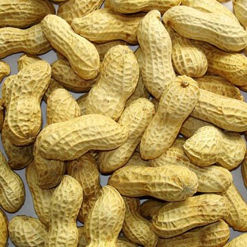 Roasted_Peanuts_in_Shells11-13.jpg