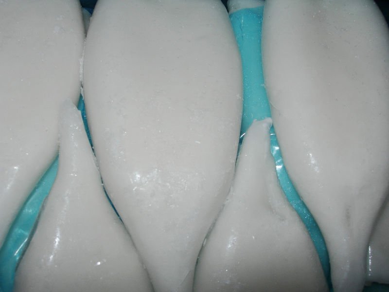 DSCN6737_conew1.jpg