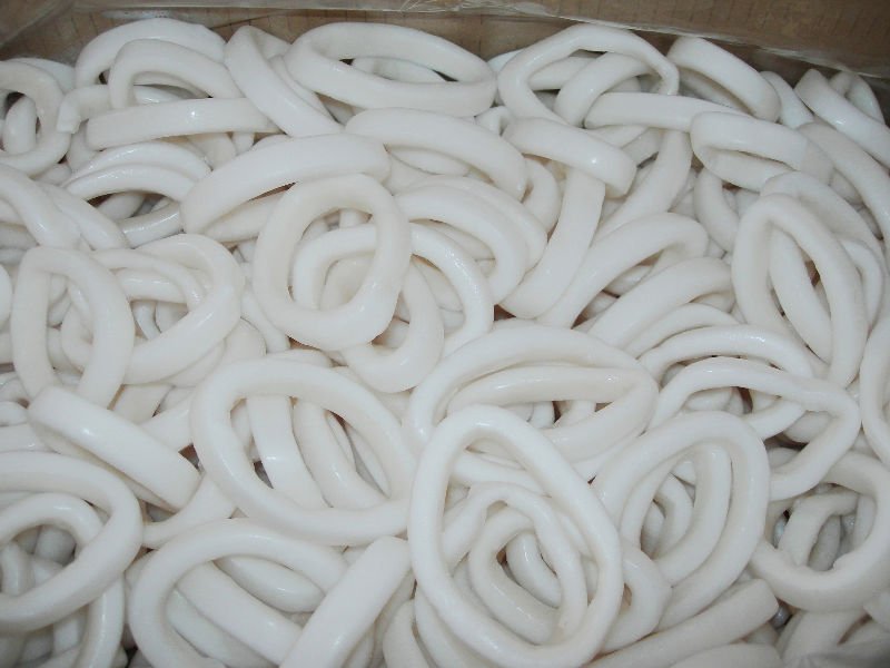 squid ring 