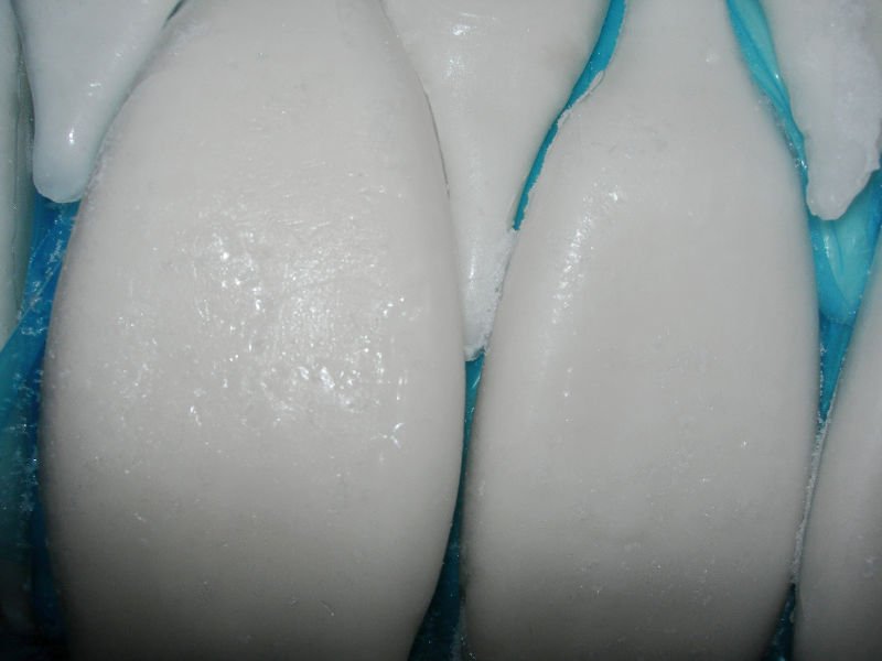 DSCN6738_conew1.jpg