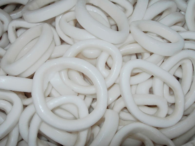 squid ring 2 