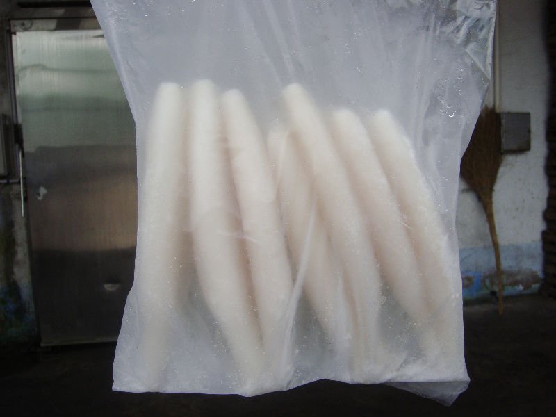 squid tube 9