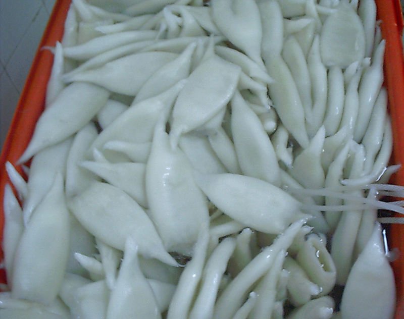 %F6%CF%D3%E3%EB%D8U10%20Squid%20Tube0223