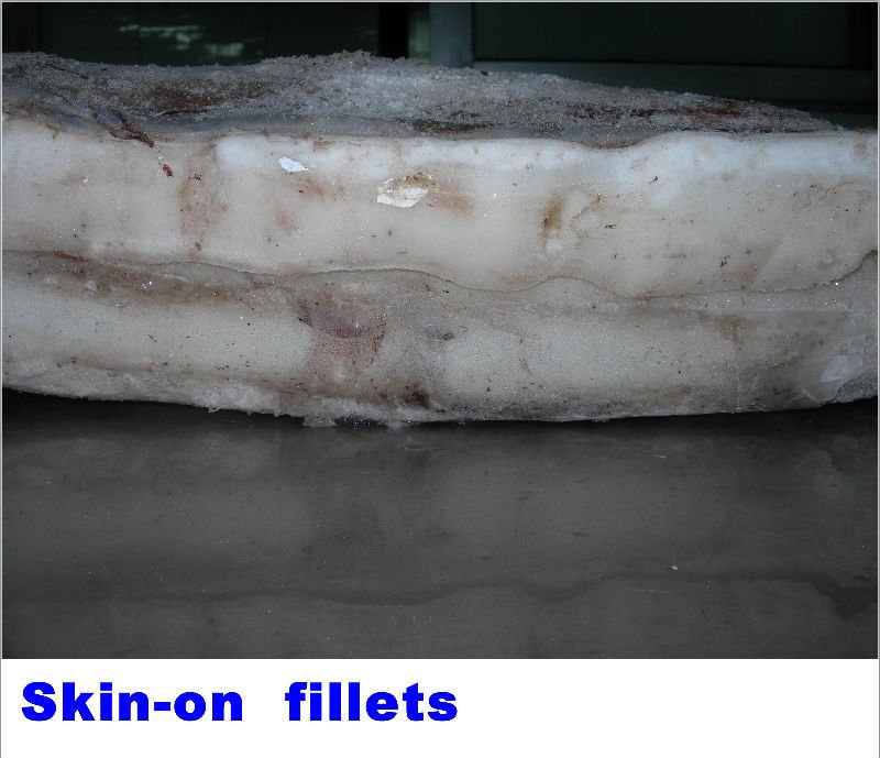 skin-on fillets