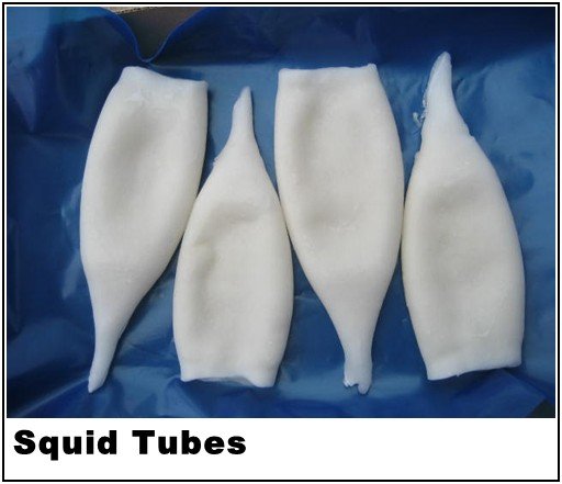 squid tube