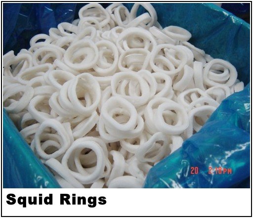squid ring