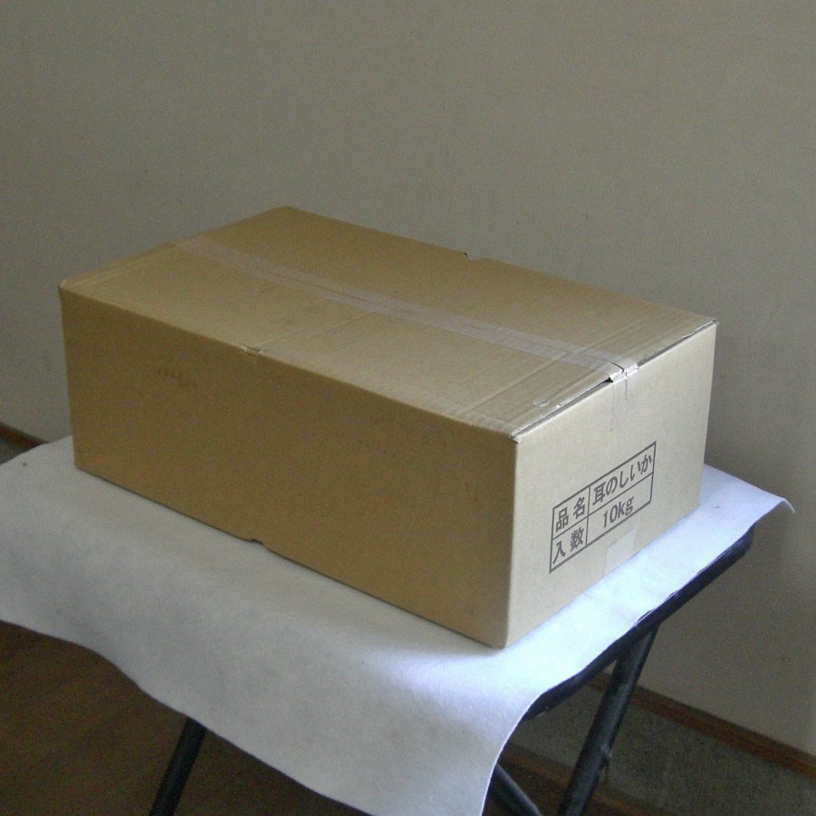 noshiika_box.jpg
