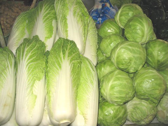 chinese cabbage