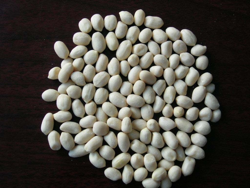 5161.jpg