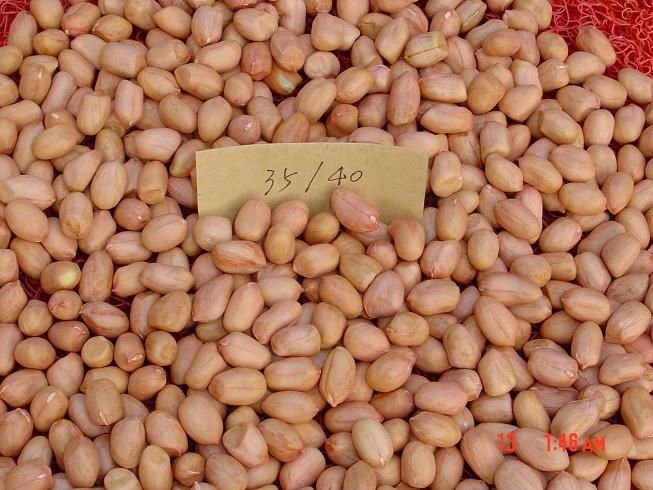 Peanut_Peanut_Kernel.JPG