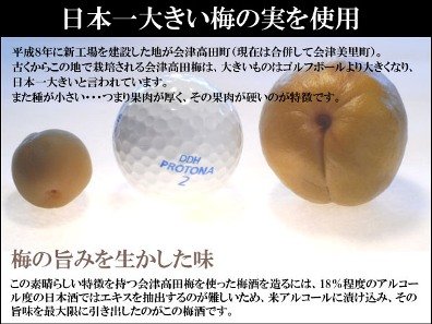suehiro01