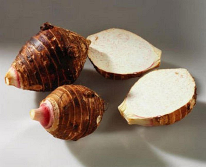 taro6