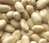 Chinese_Blanched_Peanuts.summ