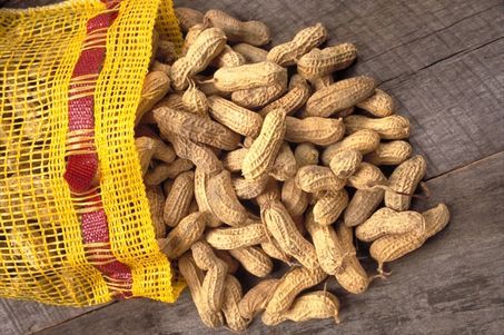 large_peanuts.jpg
