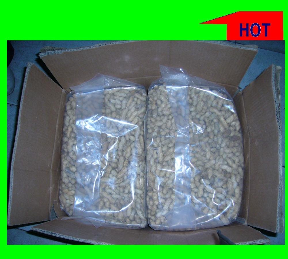 ROASTED PANUTS INSHELL.JPG