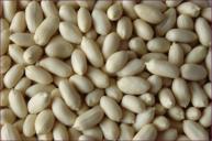 blanched peanut kernels.jpg