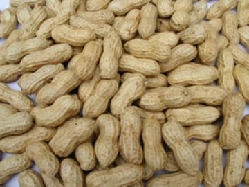 20090323103540607