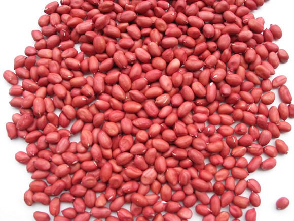 peanut kernel-redskin