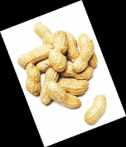 peanut kernels