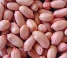 peanut kernels37
