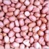 Peanut_Kernels8