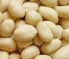 Blanched_Peanuts_round_type_.summ