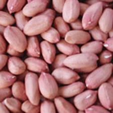 peanuts aa