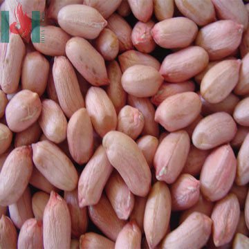 peanut 1