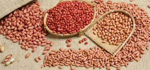 red shin peanut1