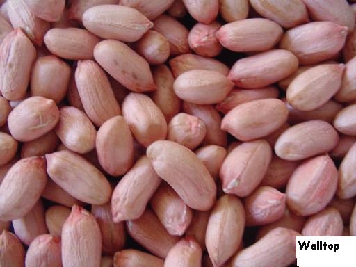 luhua peanut