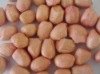 Peanuts_KernelsF