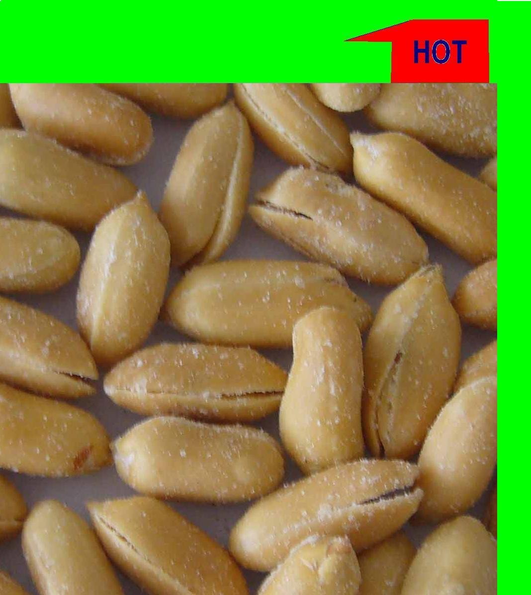 fried and salted peanuts kernel2