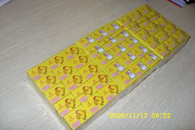 SDC10980