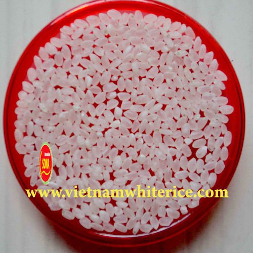 ROUND-RICE