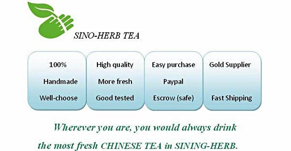 1273715807888_hz-myalibaba-web8_543[1].jpg
