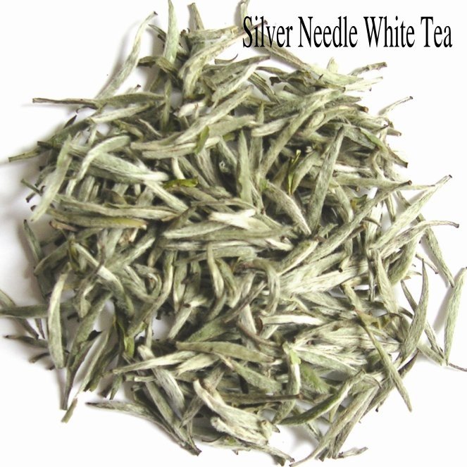 silverneedle