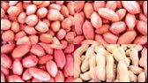 peanuts_3