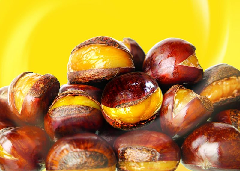 smiling chestnut.JPG