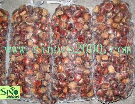 chestnut.jpg