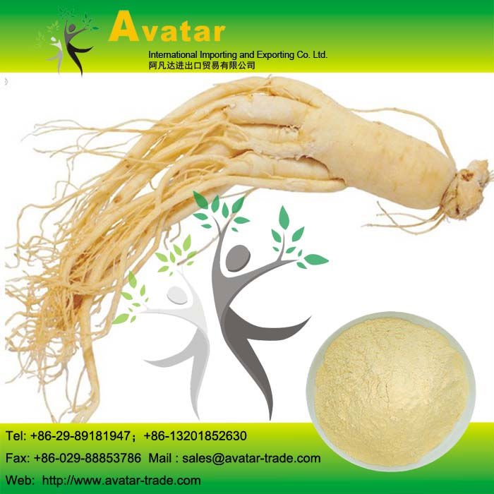 Ginseng 02.jpg