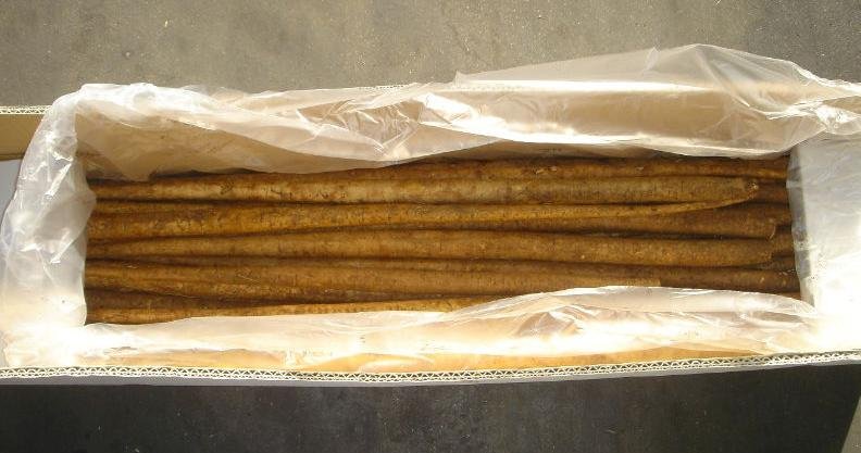 Fresh_Burdock